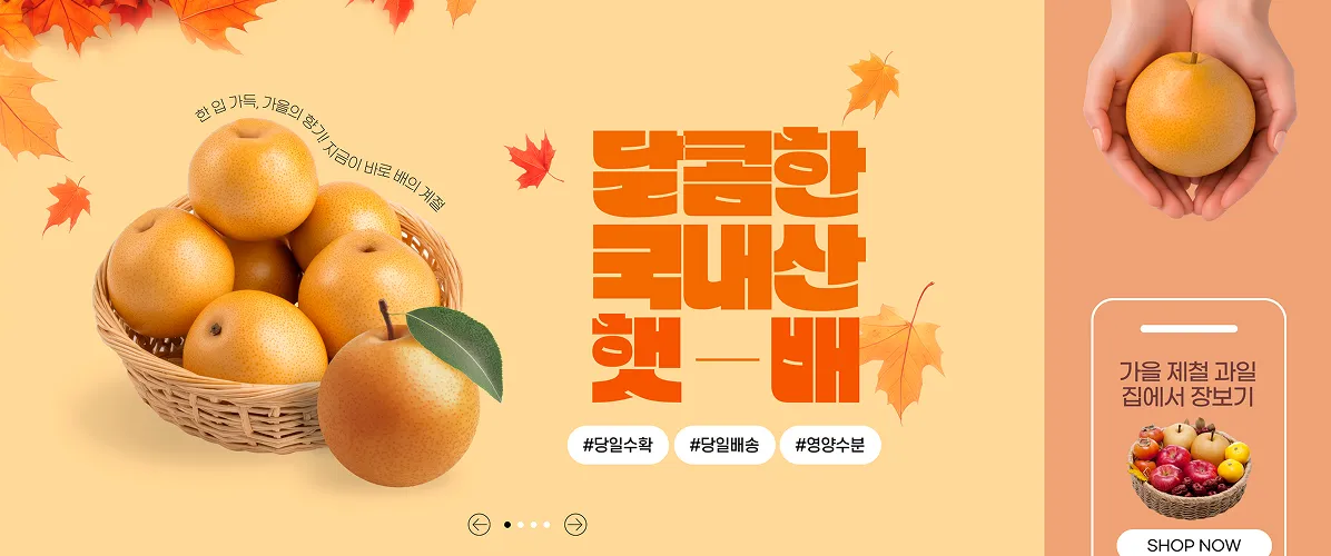 달콤한 국내산 햇배 - #당일수확 #당일배송 #영양수분